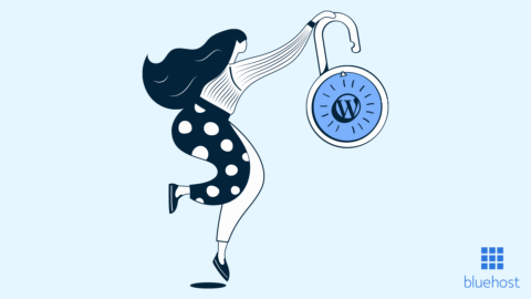 WordPress-Sicherheit – Sichern Sie Ihre WordPress-Website