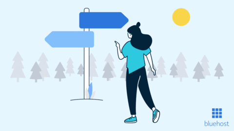 Ein vollständiger Leitfaden für den Bluehost Account Manager