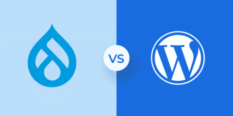 Drupal vs WordPress – Hauptunterschiede & Vergleichsleitfaden