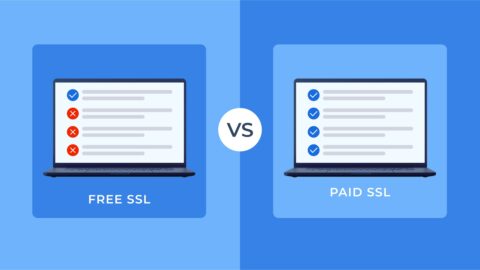 Kostenloses SSL vs. kostenpflichtiges SSL-Zertifikat: Was ist das Beste für Ihr Unternehmen?