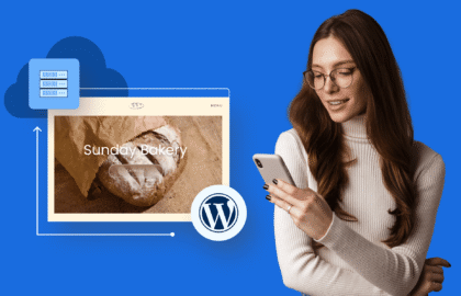 Warum WordPress-Website auf einen neuen Host migrieren?