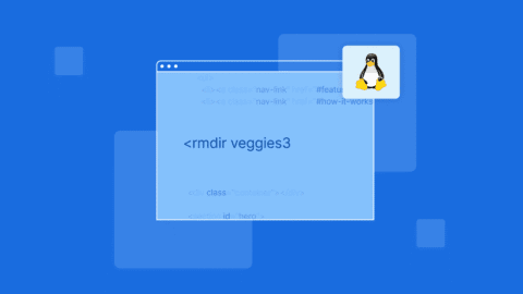 So löschen Sie ein Verzeichnis unter Linux (Befehle rm & rmdir)