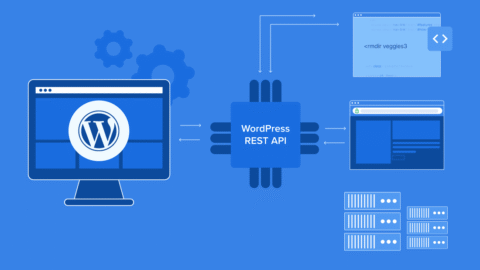 WordPress REST API-Leitfaden: Erfahren Sie, wie Sie im Jahr 2025 intelligentere Websites erstellen können