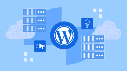 WordPress Architektur – Tipps, Plugins & Best Practices